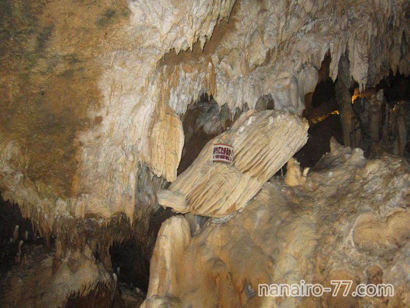 石垣島鍾乳洞の「受験石」